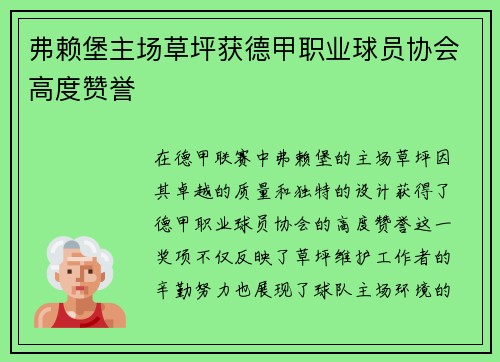 弗赖堡主场草坪获德甲职业球员协会高度赞誉 弗赖堡主场草坪获德甲职业球员协会高度赞誉